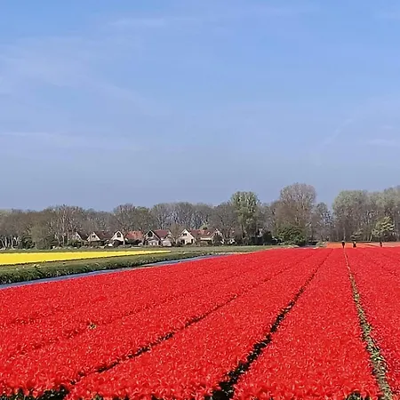 Stern Comfort-1 By Interhome Noordwijk