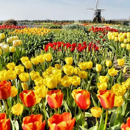 Prázdninový areál Stern Comfort-1 By Interhome 3*