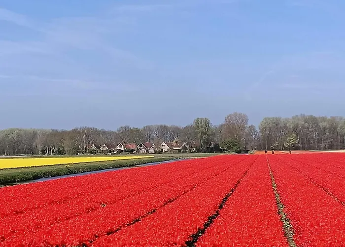 Stern Comfort-1 By Interhome Noordwijk