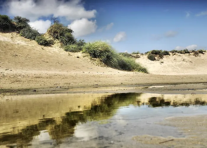 Stern Comfort-1 By Interhome 3* Noordwijk